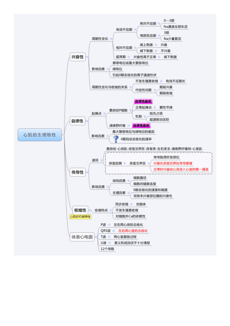 生理学思维导图.docx_第3页