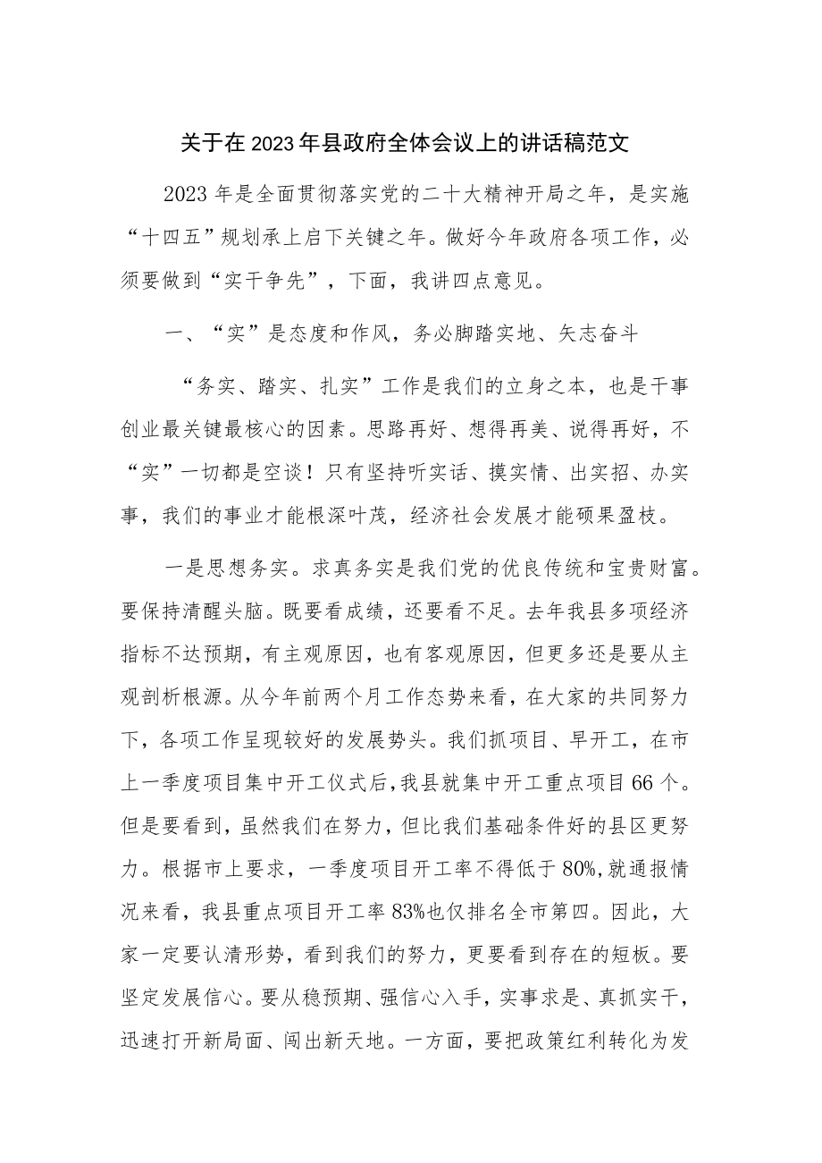 关于在2023年县政府全体会议上的讲话稿范文.docx_第1页