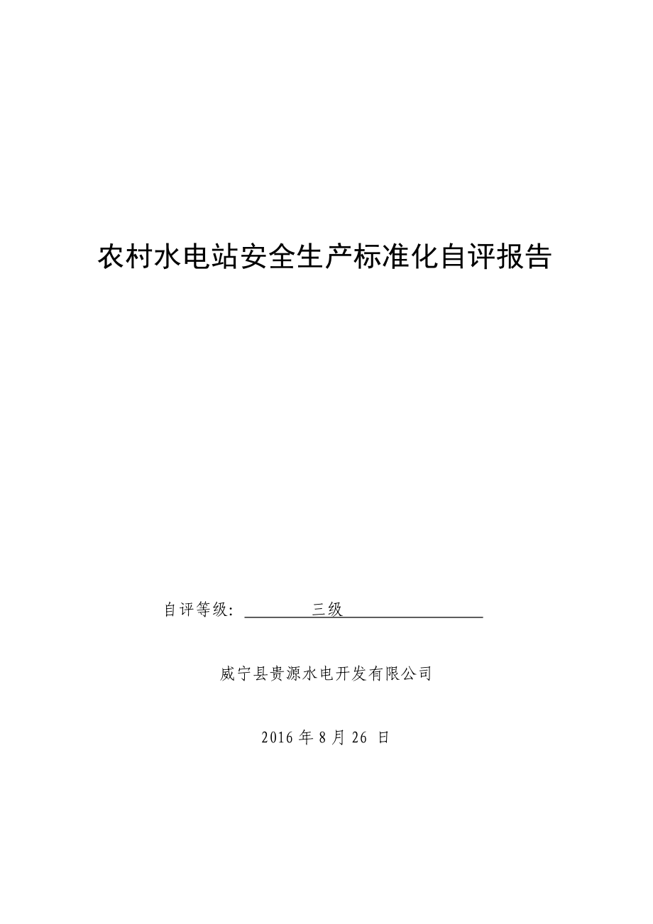 水电站安全生产标准化自评报告资料.doc_第1页