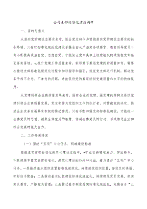 公司支部标准化建设调研.docx