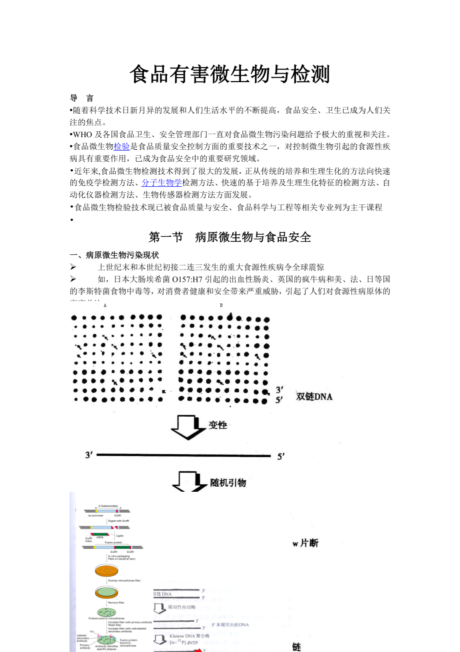 食品微生物检测.doc_第1页