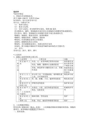 组织学与胚胎学重点归纳分析.doc