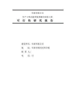 产4吨功能型氨基键合硅胶工程可行性研究报告－优秀甲级资质资金申请.doc