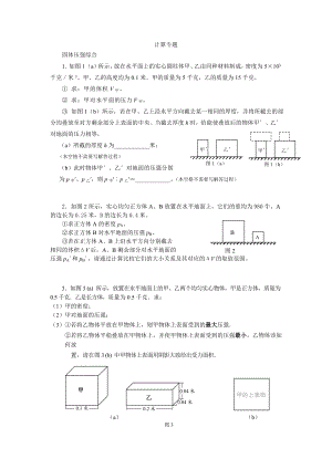 计算专题(压轴题)上海初三物理一模二模题库综合(提高题).doc