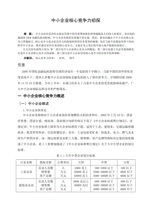 中小企业核心竞争力初探毕业论文.doc