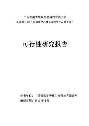 深加工30万吨糖蜜生产酵母及相关产品建设项目可行性研究报告.doc