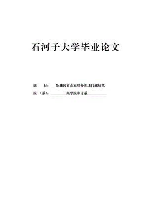 新疆民营企业财务管理问题研究毕业论文.doc