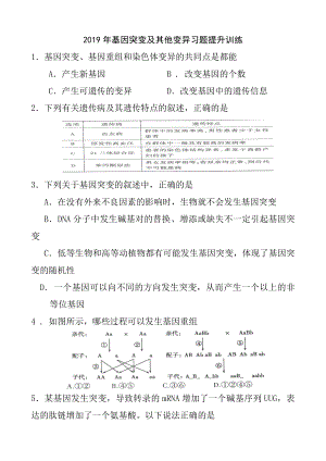 2019年基因突变及其他变异习题提升训练.doc