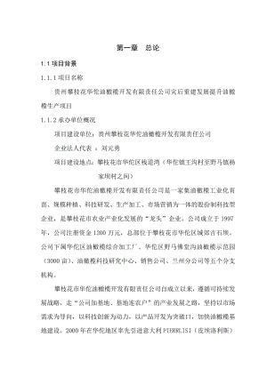 《某公司灾后重建发展提升油橄榄生产项目可研报告》(113页).doc