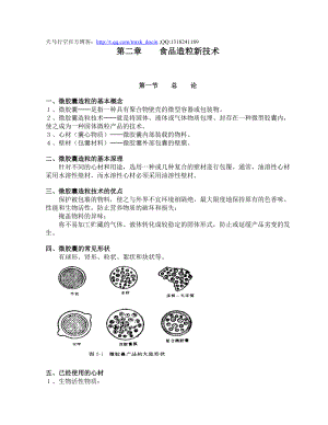 食品加工新技术 第二章 食品造粒新技术（DOC 22页）.doc