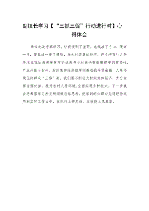 副镇长学习【“三抓三促”行动进行时】心得体会.docx