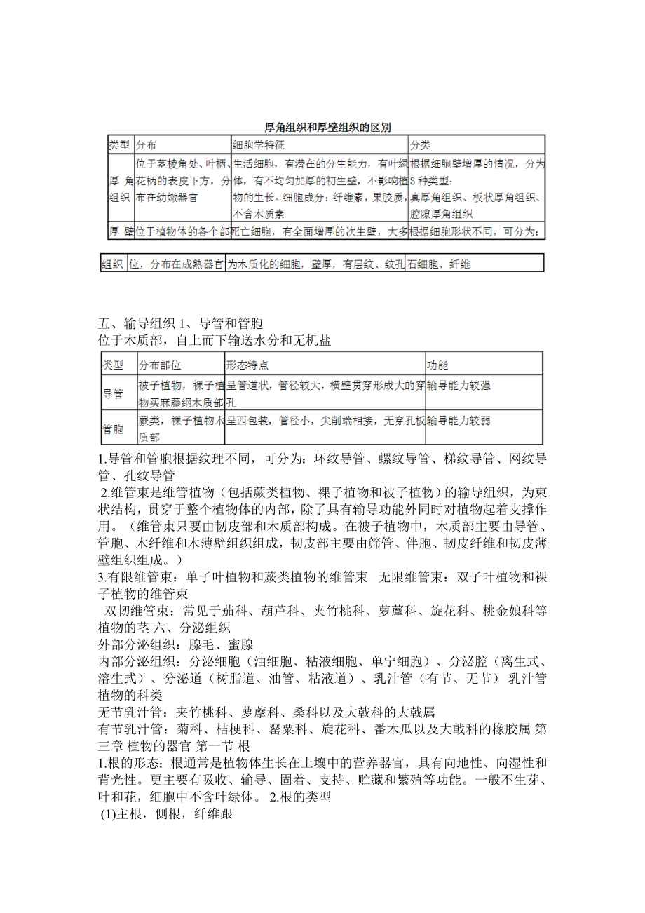 药用植物学资料.doc_第3页