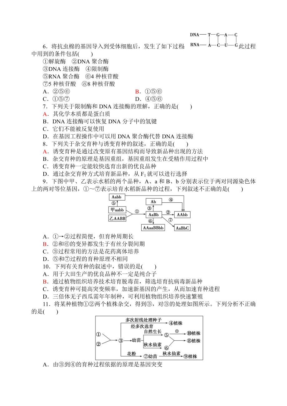 育种与进化复习题.doc_第2页