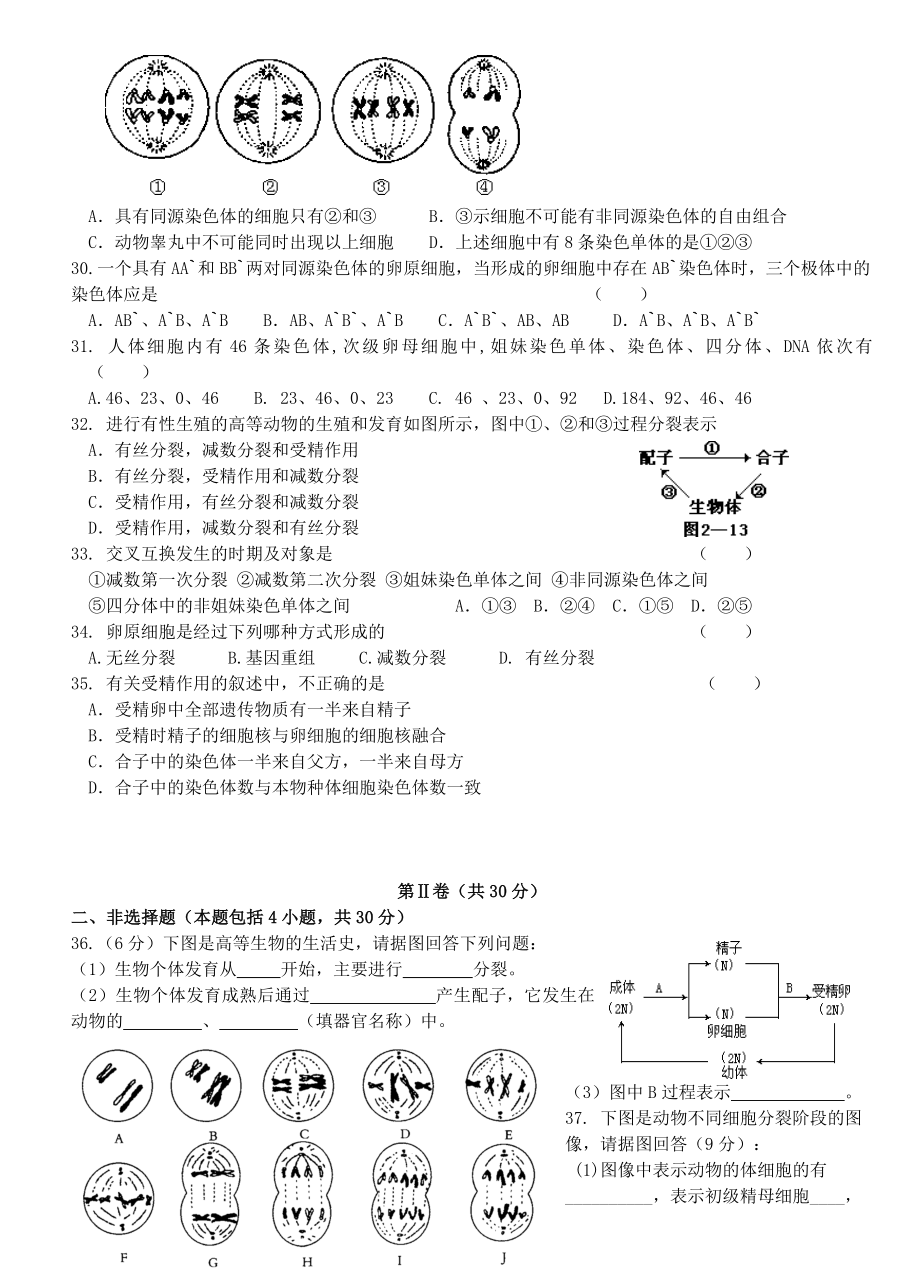 苏教版高一生物必修二第二章复习题.doc_第3页