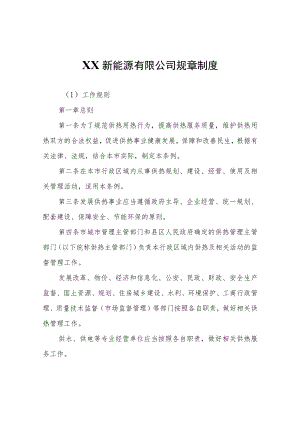 XX新能源有限公司规章制度.docx