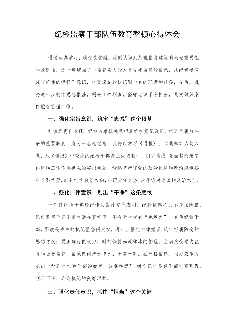 2023纪检监察干部队伍教育整顿活动的心得体会.docx_第1页