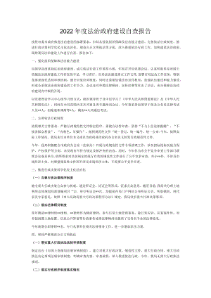 2022年度法治政府建设自查报告.docx