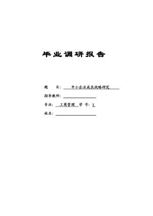 中小企业成长战略研究毕业论文.doc