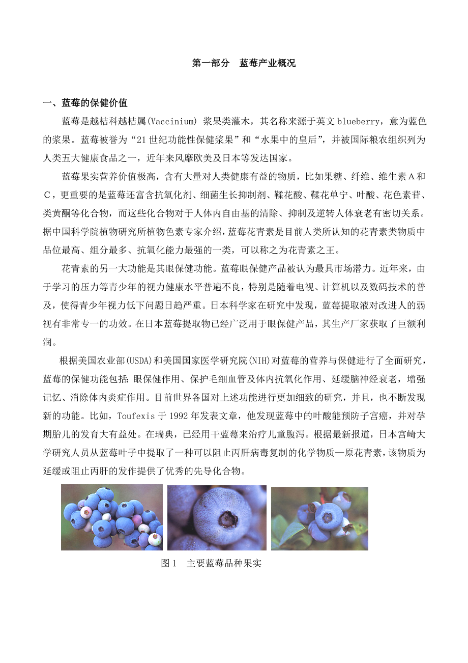 阔丰蓝莓种植园建设项目建议书.doc_第3页