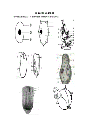 整理版初中生物中考识图专题训练全四册有答案(中考总复习).doc