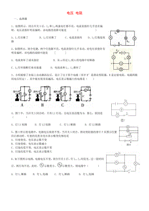 九年级物理全册-电压-电阻专题训练习题-(新版)新人教版.doc