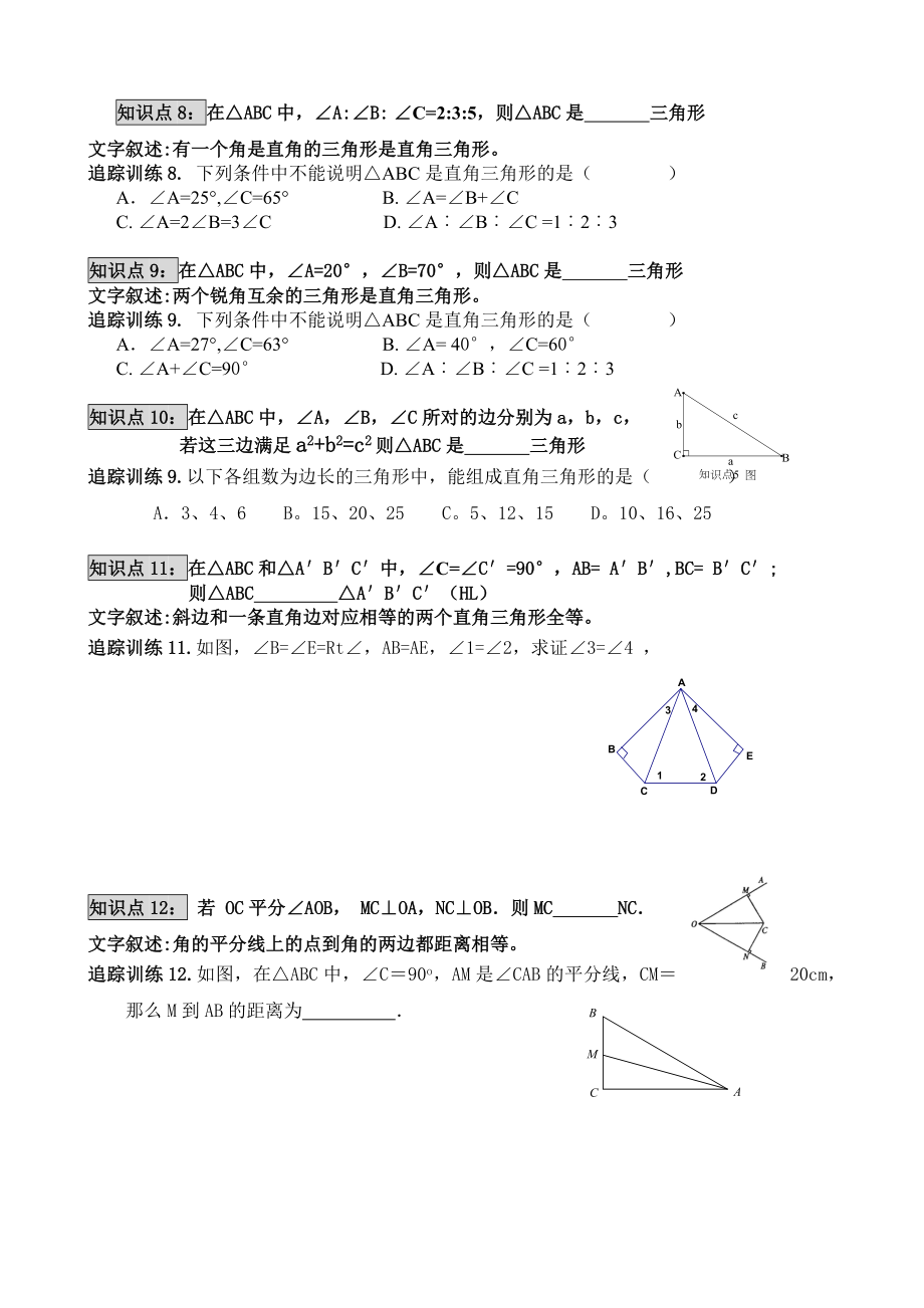 直角三角形复习专题.doc_第3页