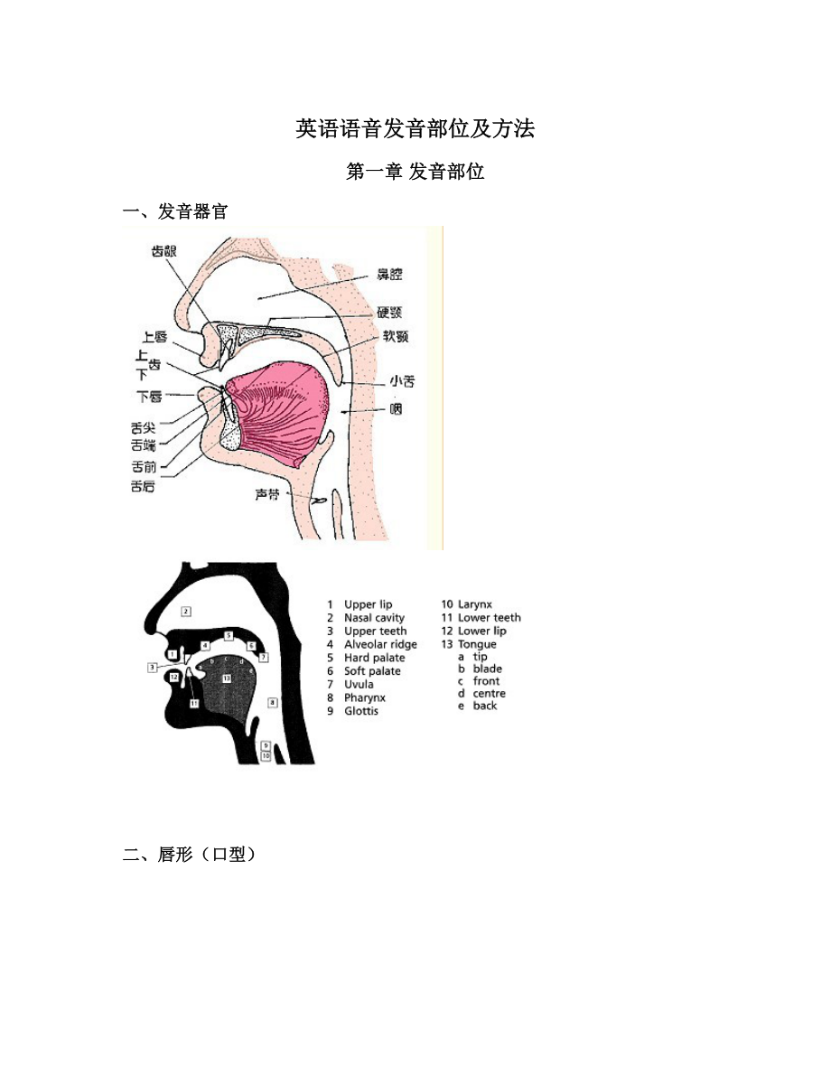 英语语音发音部位及方法.doc_第1页