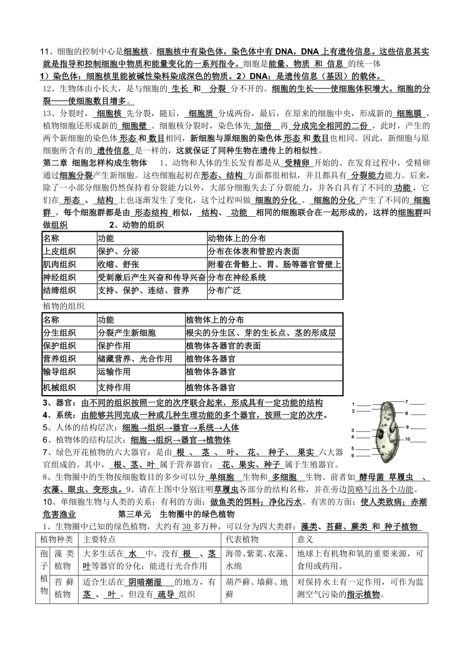 七年级上册生物期末复习)汇总.doc_第3页