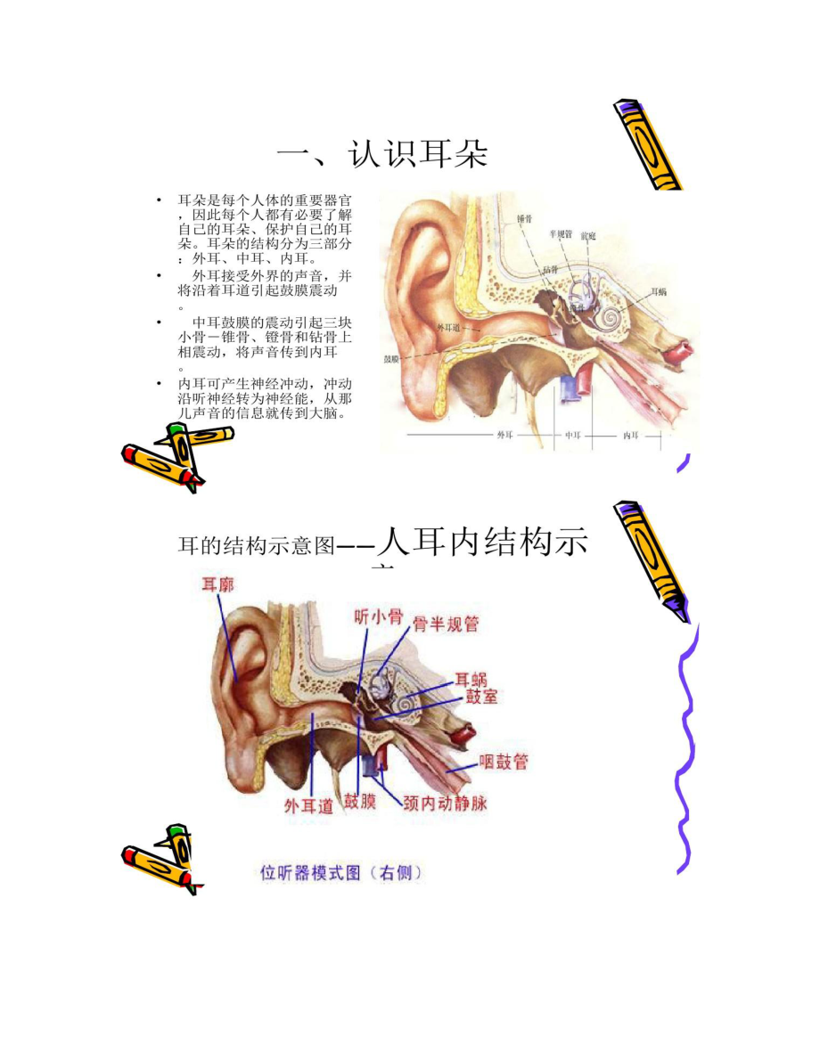 保护我的耳朵幼儿园.doc_第3页