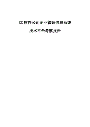 企业管理信息系统技术平台考察报告.doc