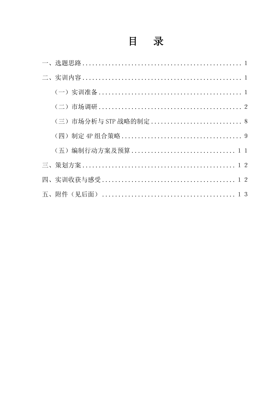 营销策划实训报告.doc_第3页