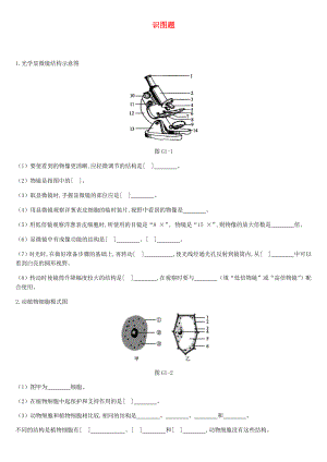 中考生物复习识图题精选新人教版.docx