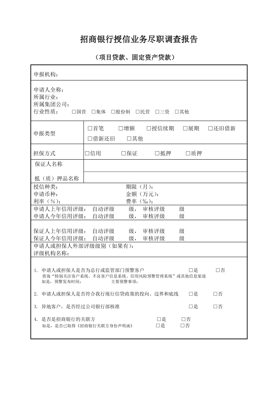 项目贷款固定资产贷款尽职调查报告.doc_第1页