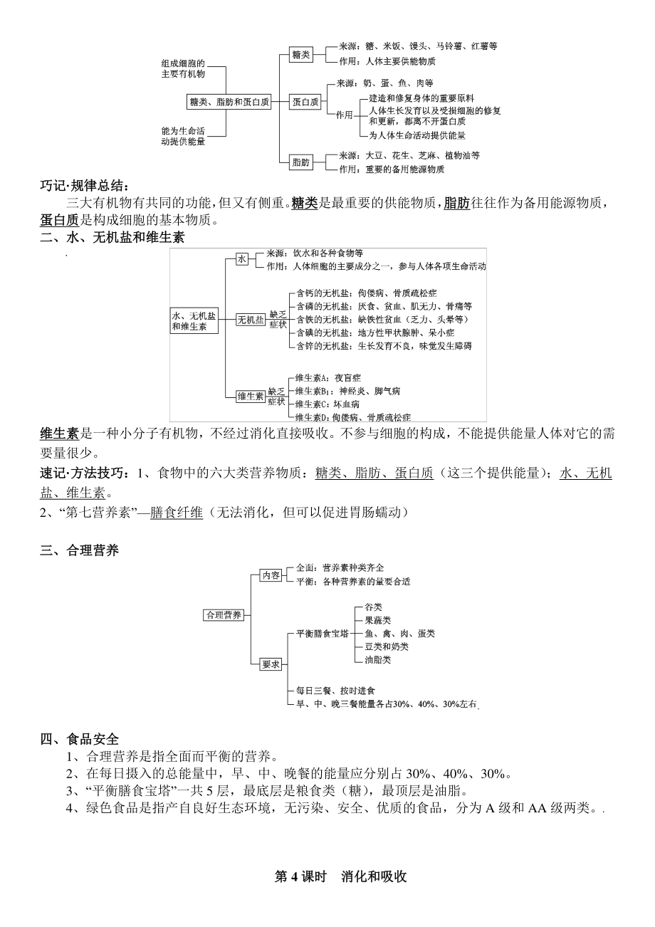 【知识点归纳】人教版七年级下册生物知识点汇总及重要图.docx_第3页