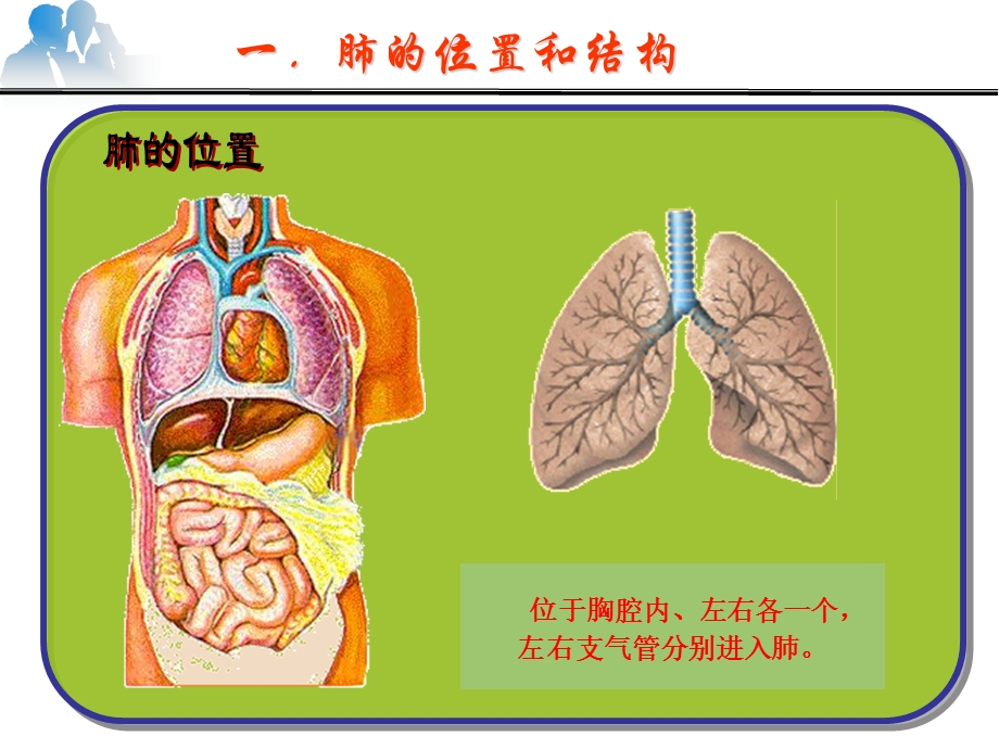 发生在肺内的气体交换课件 -人教版.ppt_第3页