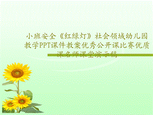 小班安全《红绿灯》社会领域幼儿园教学课件.ppt