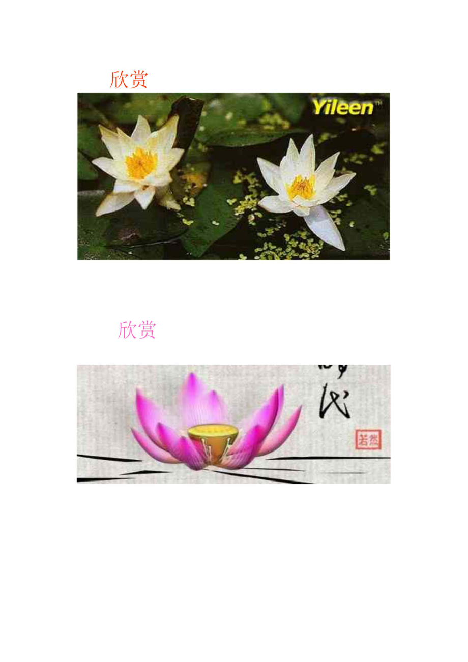 花卉(中国画)五级.doc_第2页