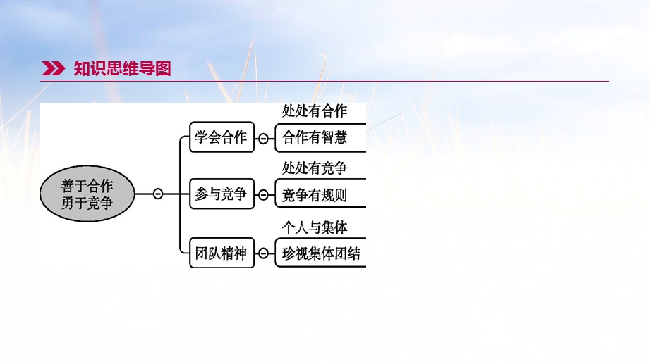 八年级-第2模块-善于合作-勇于竞争课件.pptx_第2页