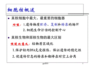 医学细胞生物学-细胞核-课件.ppt