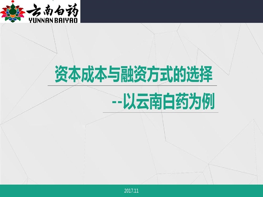 公司金融第三次案例分析云南白药资本成本分析终板课件.ppt_第2页