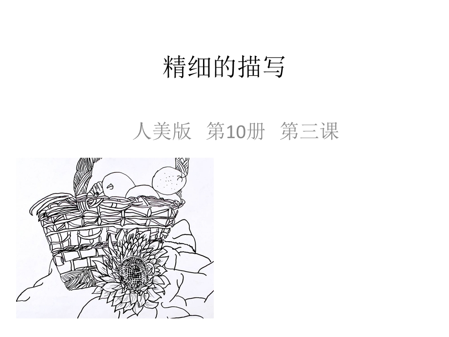 小学五年级美术下册-精细的描写1名师公开课省级获奖ppt课件-人美版.ppt_第1页