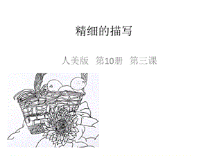 小学五年级美术下册-精细的描写1名师公开课省级获奖ppt课件-人美版.ppt