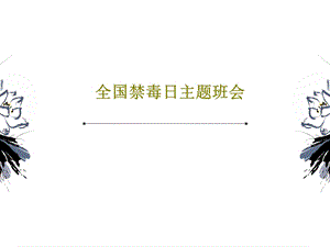 全国禁毒日主题班会课件.ppt