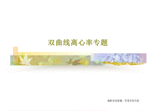 双曲线离心率专题课件.ppt