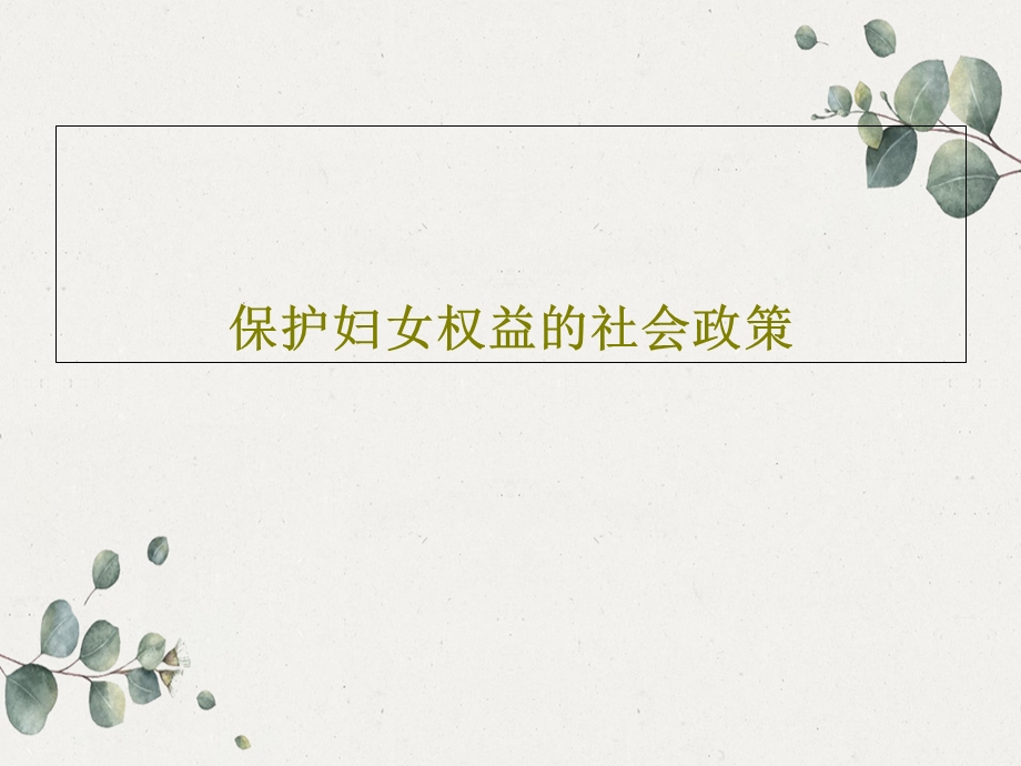 保护妇女权益的社会政策课件.ppt_第1页