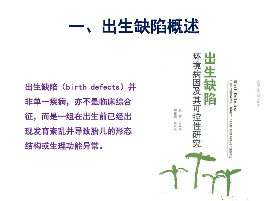 出生缺陷识别及其监测课件.ppt_第3页