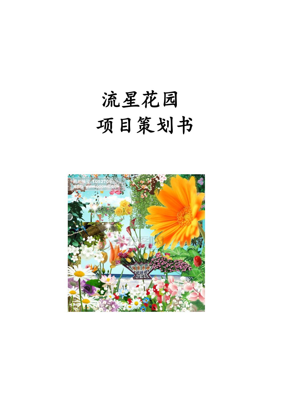 流星花园项目策划书.doc_第1页