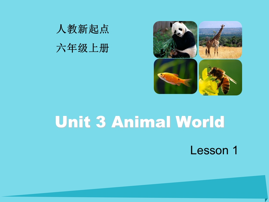 六年级英语上册Unit3AnimalWorld(Lesson1)ppt课件人教新起点.ppt_第1页