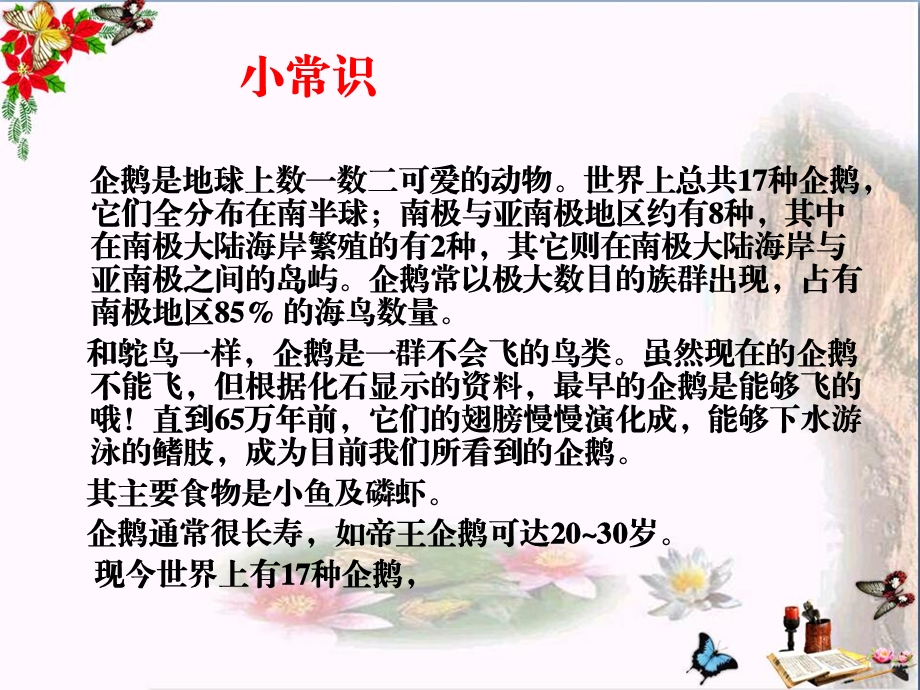 企鹅爸爸-课件.ppt_第2页