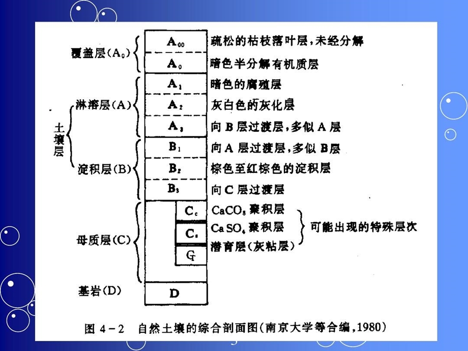 土壤污染及其防治培训资料课件.ppt_第3页